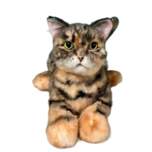Plush Siamese Shorthair Cat Order to Make